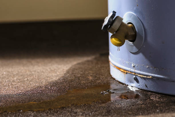 Best Flooded house restoration  in Tuckerton, NJ