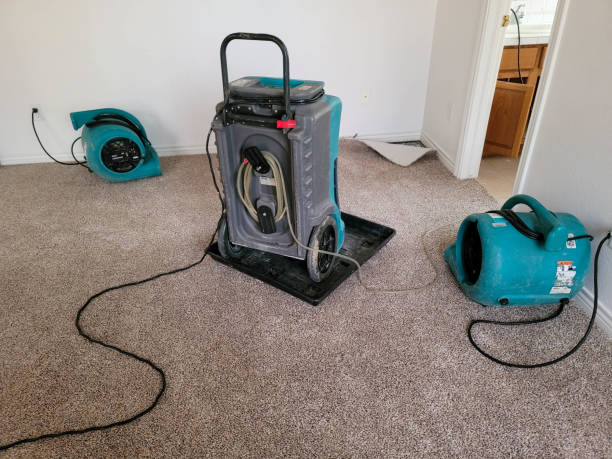 Best Water damage repair service  in Tuckerton, NJ