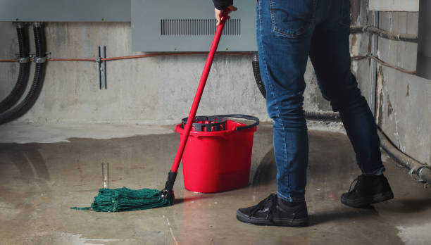 Best Basement water damage restoration  in Tuckerton, NJ
