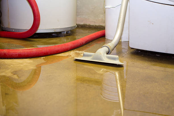 Tuckerton, NJ Water damage restoration Pros