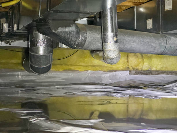 Best Water damage contractors near me  in Tuckerton, NJ