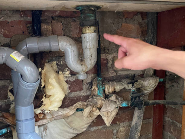 Best Water damage restoration near me  in Tuckerton, NJ