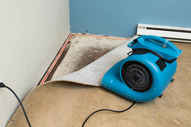 Best Basement water damage restoration  in Tuckerton, NJ